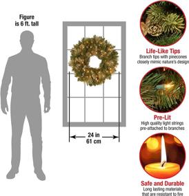img 3 attached to 🎄 National Tree Company Pre-Lit Artificial Christmas Wreath: Green Carolina Pine with White Lights, Pine Cones Decoration, 24 Inches - Christmas Collection