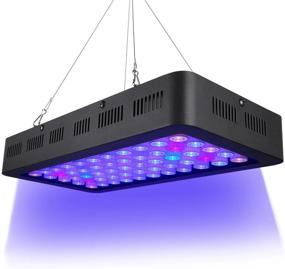 img 4 attached to 🐠 Enhance Fish Tank Coral Reef Growth with ARKNOAH Dimmable LED Aquarium Light – Full Spectrum White Blue LPS for Freshwater and Saltwater Tanks