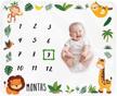 baby monthly milestone blanket boy nursery and bedding logo