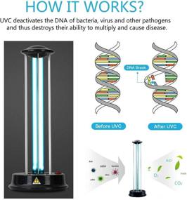 img 4 attached to Очистить УФ-лампа 36 Вт 110 В Для контроля цифрового света, стерилизации в гостиной спальне санитайзера - уменьшает аллергию на пылевых клещей и шерсть животных - убивает 99,9% плесень, бактерии, микробы - без озона пылевых клещей - безопасное для дома.