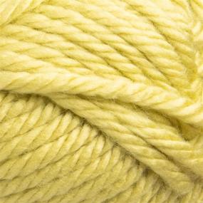 img 2 attached to 🦁 Premium Lion Brand (3 Pack) Efficacious Hometown USA Soft Monterey Lime Green Yarn for Knitting & Crocheting - Super Bulky #6 Acrylic