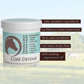 img 2 attached to 🐎 COAT DEFENSE Trouble Spot Drying Paste for Horses - 24 Oz: Natural Equine Wound Care for Effective Relief from Scratches, Sweet Itch, Summer Sores, and More