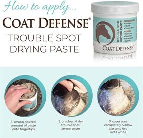 img 1 attached to 🐎 COAT DEFENSE Trouble Spot Drying Paste for Horses - 24 Oz: Natural Equine Wound Care for Effective Relief from Scratches, Sweet Itch, Summer Sores, and More