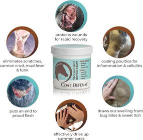 img 3 attached to 🐎 COAT DEFENSE Trouble Spot Drying Paste for Horses - 24 Oz: Natural Equine Wound Care for Effective Relief from Scratches, Sweet Itch, Summer Sores, and More