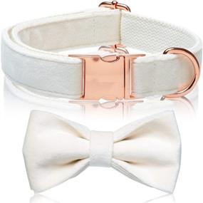 img 4 attached to FEEYAR Cute Bowtie Dog Collar with Metal Buckle, Perfect for 🐶 Small to Large Male and Female Dogs and Puppies, White Velvet, Size XS