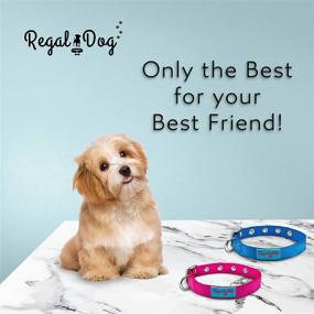 img 2 attached to 🐶 Regal Dog Products Nylon Dog Collar: Durable, Adjustable Collar for Small, Medium, and Large Dogs with Reinforced Stitching, Metal Buckle, and D-Ring