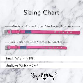 img 3 attached to 🐶 Regal Dog Products Nylon Dog Collar: Durable, Adjustable Collar for Small, Medium, and Large Dogs with Reinforced Stitching, Metal Buckle, and D-Ring