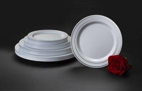img 1 attached to Party Essentials 12-Count Disposable China Dinner Plates, 10.25-inch, Hard Plastic, White with Silver Band (N367359)