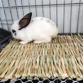 img 1 attached to 🐇 Natural Straw Woven Mat Rabbit Grass Tunnel - Winter Warm Hideaway Hut for Bunny, Gerbil, Ferrets, Guinea Pig & Chinchilla