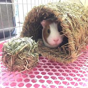 img 3 attached to 🐇 Natural Straw Woven Mat Rabbit Grass Tunnel - Winter Warm Hideaway Hut for Bunny, Gerbil, Ferrets, Guinea Pig & Chinchilla