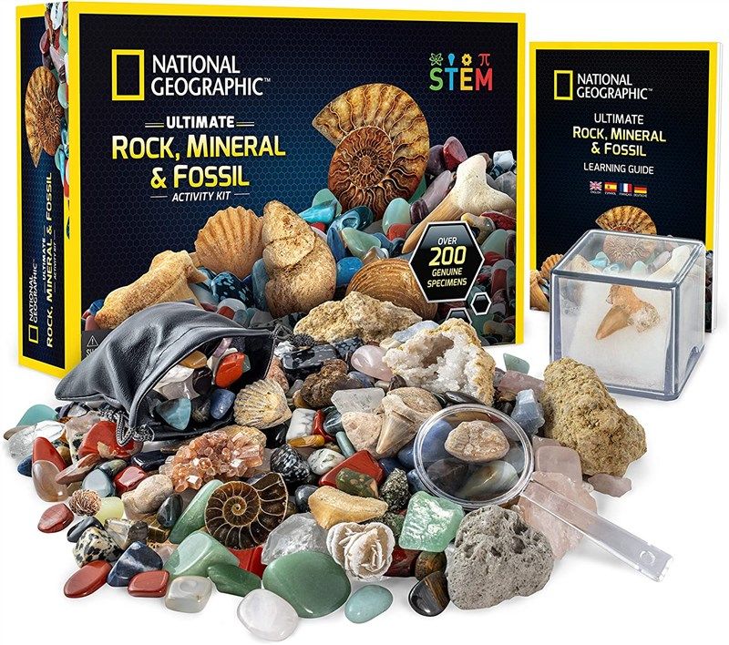 national geographic rocks fossils kit 로고