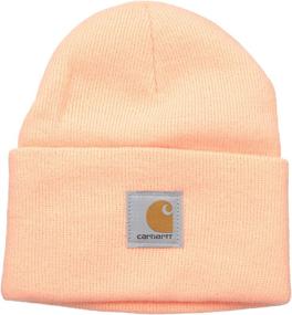 img 1 attached to 🧢 Carhartt A18 Men's Acrylic Watch Hat