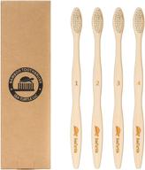 seaturtle bamboo toothbrush - pack of 4 - soft plant-based bristles for sensitive gums - recyclable, biodegradable, zero waste, eco-friendly, sustainable oral care products logo