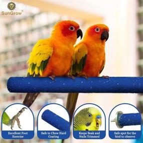 img 2 attached to 🐦 Naturally Trim Pet Bird Nails with SunGrow Wooden Bird Perch – Quartz Sand Covered Wood Ideal for Cockatiels, Parakeets, Lovebirds, and Finches