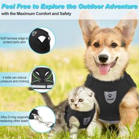 img 2 attached to Super Cat Harness and Leash Set for Walking - Soft Mesh Puppy 🐱 Harness Adjustable Vest - Reflective Strap Comfort Fit for Small Dogs, Cats, Kittens, and Rabbits