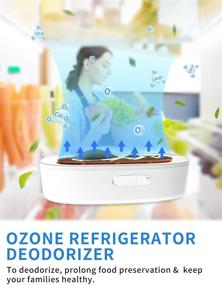 img 4 attached to Refrigerator Deodorizer Purifier Natural Eliminators