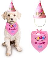 🐾 stylish dog birthday bandanas: trendy costume accessories for pets - ideal for small, medium, and large dogs and cats логотип