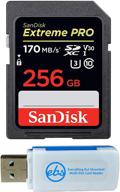 sandisk panasonic беззеркальный sdsdxx 256g gn4in все логотип