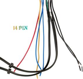 img 3 attached to RDBS Amplifier Integration Harness 2000 2004