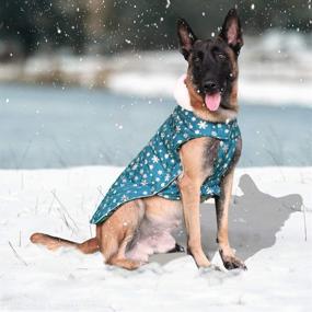 img 1 attached to 🐶 Bonaweite Waterproof Windproof Reversible Dog Jacket - Winter Warm British Style Plaid Cold Vest with Furry Collar Coat for Cold Weather - Suitable for Small, Medium, Large Dogs