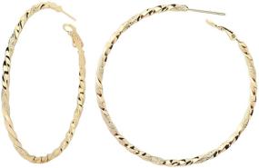 img 3 attached to 💎 Plated Women's Twisted Hoop Earrings: Stylish Girls' Jewelry for Every Occasion