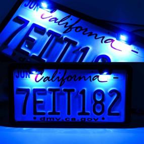 img 3 attached to LivTee Super Bright 12V Waterproof License Plate LED Lights Holder: Blue (2PCS) - Legal for Car, Motorcycle, Truck, RV, ATV, Bike - Tag Screw Bolt Design