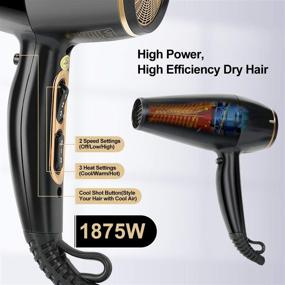 img 3 attached to 💁 IG INGLAM 1875W Hair Dryer with Low Noise & Ions, Professional Salon Blow Dryer for Fast Drying - Black Pro, with Concentrators, 2 Speed 3 Heat Settings, and Cool Button