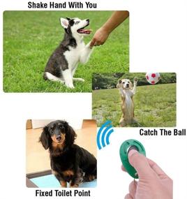 img 2 attached to Colorful Dog Clicker Set of 12 - Pet Training Clicker with Wrist Strap and Training Ring for Dogs, Cats, Horses, and Pets - Rocutus Clicker for Effective Training