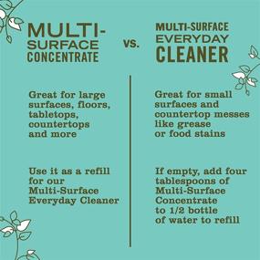 img 1 attached to 🧴 Mrs. Meyer's Clean Day Multi-Surface Cleaner Concentrate Pack of 2 - 32 Oz, Basil Scent: Ideal for Floors, Tile, and Counters