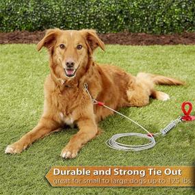 img 3 attached to Premium Dog Tie Out Cable - No Tangle, Rust Proof, Durable Spring | 20/30/50/60/75ft | Ideal for Outdoor, Yard, Camping | Training Leash for Medium to Large Dogs Up to 125 lbs
