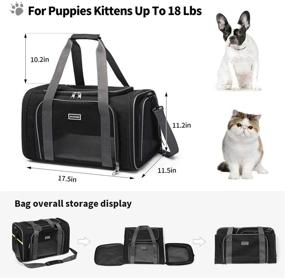 img 3 attached to 🐱 ACCOFASH Pet Cat Carrier: Airline Approved Soft Sided Small Dog Travel Bag - Comfortable, Lightweight, Ventilated, Collapsible (Black)