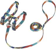 petiry adjustable harness pattern walking logo