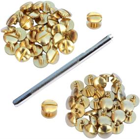 img 2 attached to 🔩 30-Piece DGOL Brass Chicago Screws Posts with Arc Head and Backscrews – Binding Rivets Set including Install Hole Punch (0.158 inch)