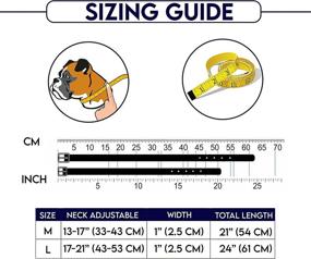 img 2 attached to Premium Mondo Leather Dog Collar and Leash Set, Waterproof and Comfortable Genuine Leather Collar for Small, Medium, and Large Dogs