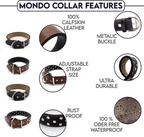 img 1 attached to Premium Mondo Leather Dog Collar and Leash Set, Waterproof and Comfortable Genuine Leather Collar for Small, Medium, and Large Dogs