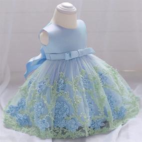 img 2 attached to 👗 Dressy Daisy Baby Girls Wedding Flower Girl Pageant Dress: Party Tulle Skirt for Special Occasion in Blue, Pink, Purple, and Yellow