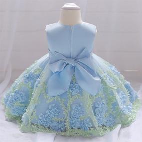 img 3 attached to 👗 Dressy Daisy Baby Girls Wedding Flower Girl Pageant Dress: Party Tulle Skirt for Special Occasion in Blue, Pink, Purple, and Yellow