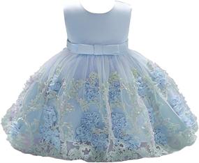 img 4 attached to 👗 Dressy Daisy Baby Girls Wedding Flower Girl Pageant Dress: Party Tulle Skirt for Special Occasion in Blue, Pink, Purple, and Yellow