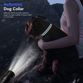 img 3 attached to Visinite Reflective Dog Collar - Adjustable Pet Collars with Soft Neoprene Padding - Suitable for Small, Medium, Large, and Extra Large Dogs - Ideal for Pet Dog Walking - Available in 4 Sizes