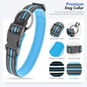 img 2 attached to Visinite Reflective Dog Collar - Adjustable Pet Collars with Soft Neoprene Padding - Suitable for Small, Medium, Large, and Extra Large Dogs - Ideal for Pet Dog Walking - Available in 4 Sizes