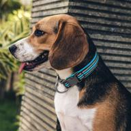 visinite reflective dog collar - adjustable pet collars with soft neoprene padding - suitable for small, medium, large, and extra large dogs - ideal for pet dog walking - available in 4 sizes logo