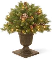 🎄 national tree 24 inch frosted berry porch bush: festive red berries, cones & 50 clear lights in dark bronze urn логотип