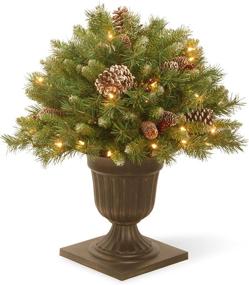 img 1 attached to 🎄 National Tree 24 Inch Frosted Berry Porch Bush: Festive Red Berries, Cones & 50 Clear Lights in Dark Bronze Urn