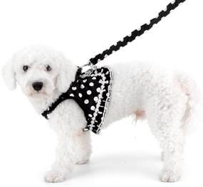 img 3 attached to SMALLLEE_LUCKY_STORE Polka Small Harness Padded