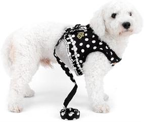 img 1 attached to SMALLLEE_LUCKY_STORE Polka Small Harness Padded