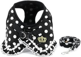 img 4 attached to SMALLLEE_LUCKY_STORE Polka Small Harness Padded