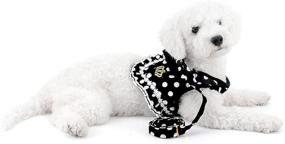 img 2 attached to SMALLLEE_LUCKY_STORE Polka Small Harness Padded