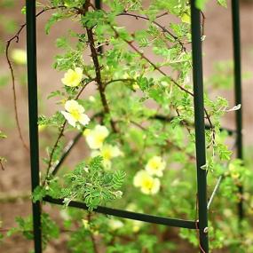 img 2 attached to Relaxdays Obelisk Climbing Support Trellis