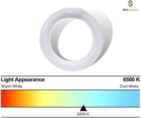 img 2 attached to Sterl Lighting Daylight Circline Fluorescent