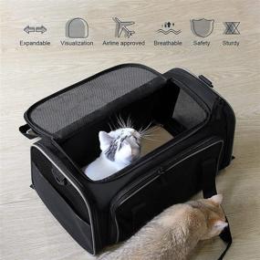 img 2 attached to 🐱 Expandable Cat Carrier: Airline Approved Soft-Sided Pet Travel Bag for Small-Medium Cats & Dogs, 18" x 11" x 11